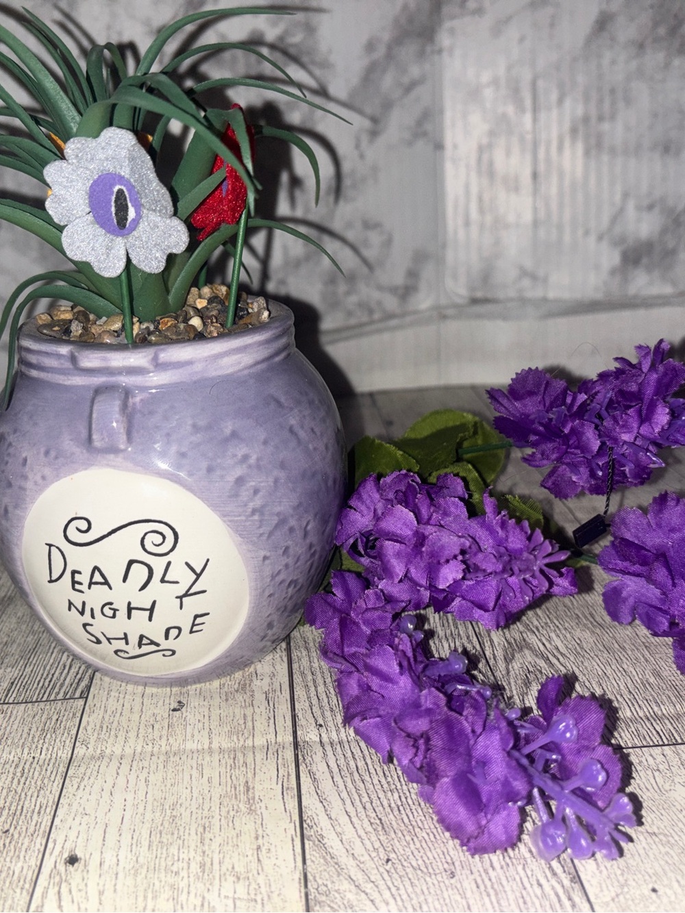 Nightmare before Christmas succulent deadly nightshade